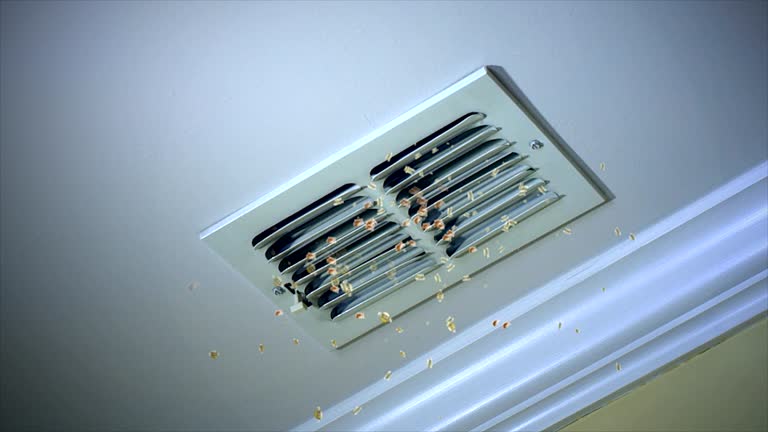 Air Duct Mold Removal in Twin Lakes, CA