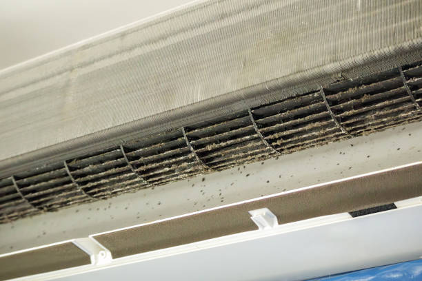 Best Best Air Duct Cleaning Near Me  in Twin Lakes, CA